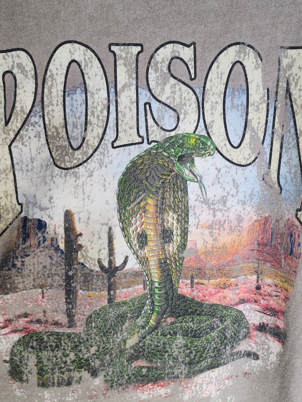 PacSun‎ Poison Watch Your Step Cobra Graphic Vintage Wash T-Shirt - Picture 4 of 7